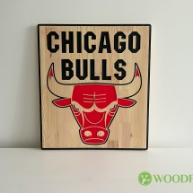 woodfrog_chicago_bulls_logo-5410