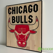 woodfrog_chicago_bulls_logo-5413