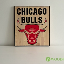woodfrog_chicago_bulls_logo-5414